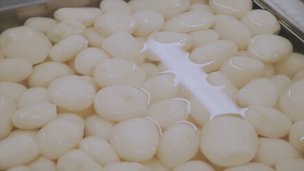 Проектирование технологии и комплексное оснащение ресторана - банкетного зала в Москве.