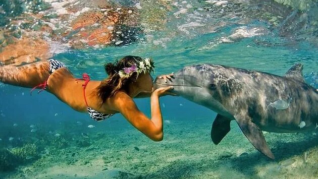 Веселая и позитивная фоновая музыка | No Copyright Music | NCS ...