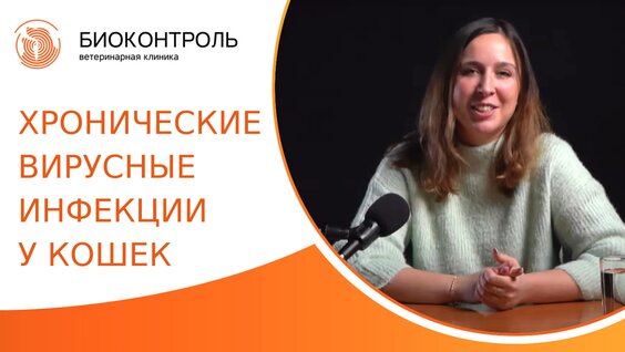 Вирусные инфекции кошек: симптомы, лечение, профилактика. Хронические вирусные инфекции к…