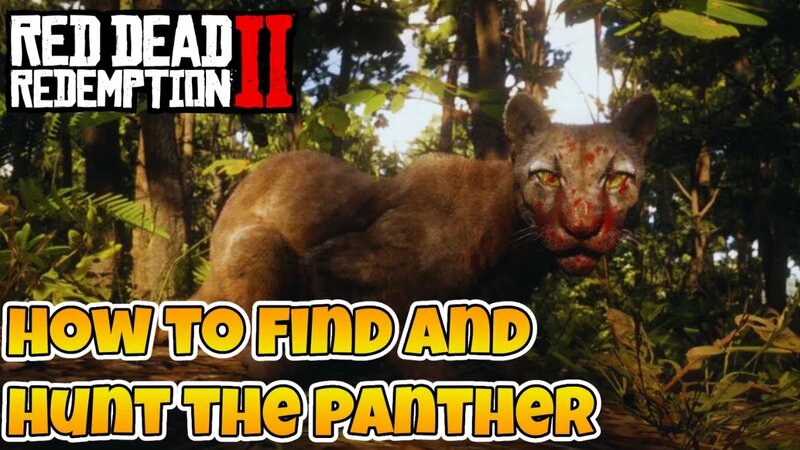 Red Dead Redemption 2 Where To Find Panthers And How Get Perfect ...