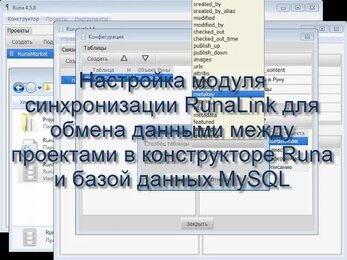 Модуль синхронизации данных RunaLink 4.5