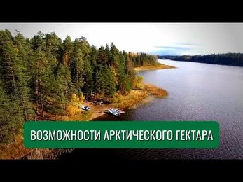 Возможности арктического гектара. Гектар в Арктике | Станислав Быковский