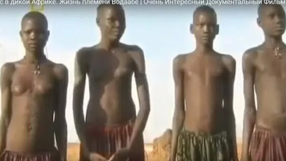 UFC қыз порносы