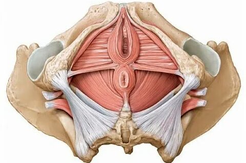 Qizning eshagidan prolaps chiqib ketdi (video)