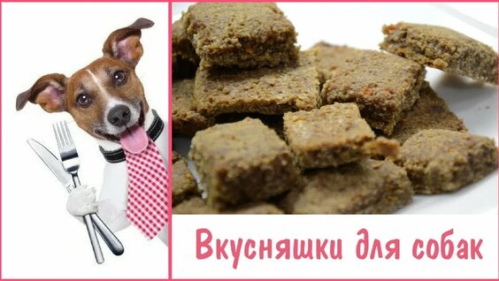 ВКУСНЯШКИ ДЛЯ СОБАК — Видео от Кинология