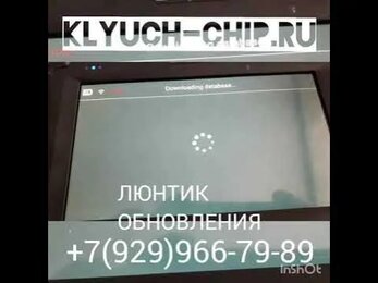 Люнтик (lonsdor k518i)