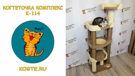 Когтеточка комплекс для кошки k-114 kogte.ru