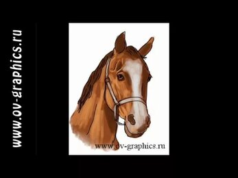 Как нарисовать лошадь в ipad