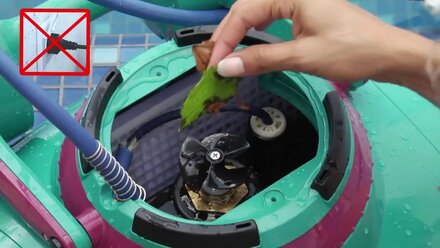 Poolmarket Пылесос робот DOLPHIN DANA 3