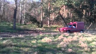 Renault Rapid