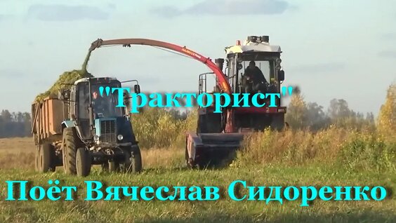 Толкалинаның махаббатының секс видеосы