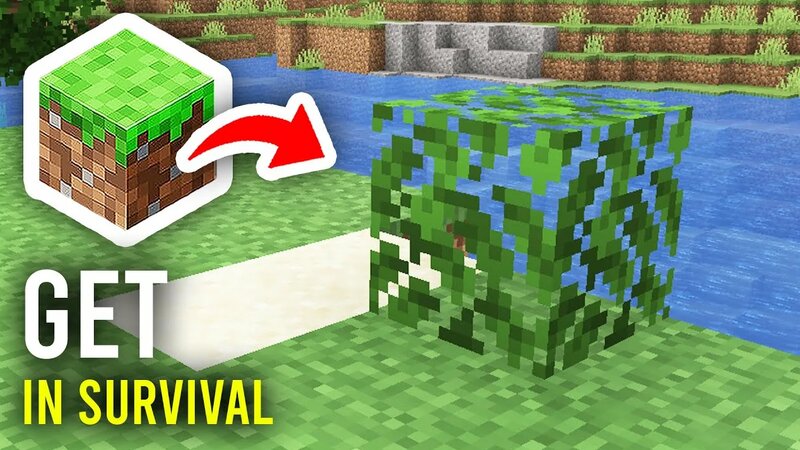 How To Get Leaves In Minecraft Survival - Full Guide - Yandex Video ...