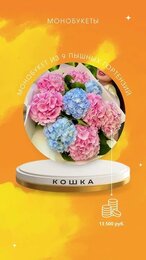 Монобукет из 9 голландских гортензий #цветы #цветы #букет #flowers