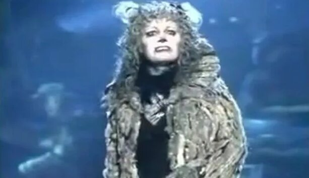 Cats Musical Memory - Смотреть онлайн в поиске Яндекса по Видео
