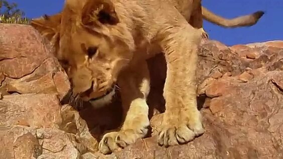 Кітапханадағы қоғамдық порно