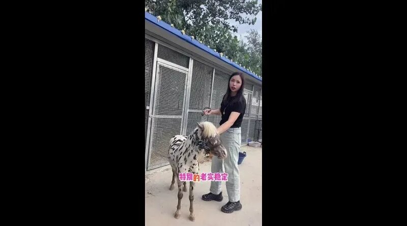 Видео от Noor James — Видео от Noor James - Yandex Video aramada ...