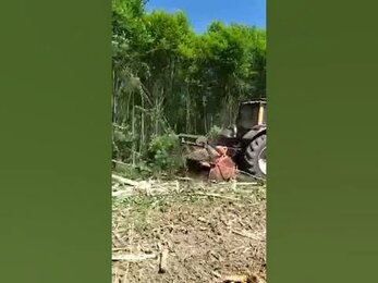 Введение в оборот заросшей сельхоз земли, услуги мульчера