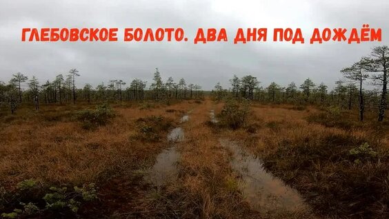 Поход на Глебовское болото. Ночевка у Чёрного озера. ВТБ 4. — Видео от Сергей Введенск...