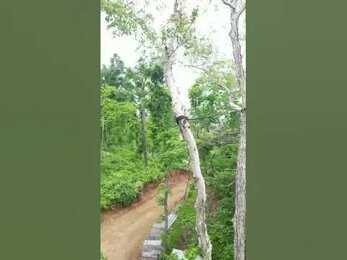 Стабилизация