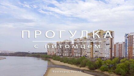 Краснодар. Прогулка с собакой ))