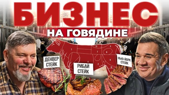 Коровы съедят весь бюджет! Мясное скотоводство. Говяжии стеи к. Разведение коров. Андрей...