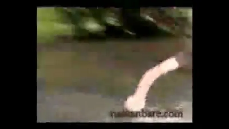 Neptun festivalida yalangoch nudistlar