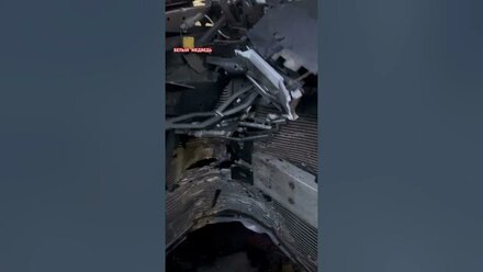 Новая ОМОДА обняла дерево.