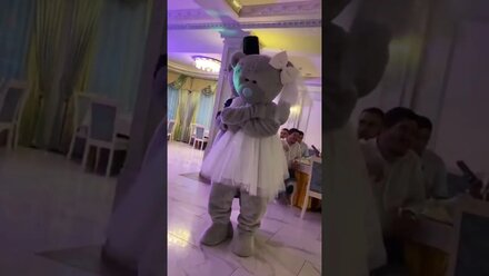 Мишки Тедди танцуют на свадьбе