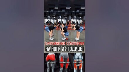 3 УПРАЖНЕНИЯ С ГАНТЕЛЯМИ НА НОГИ И ЯГОДИЦЫ