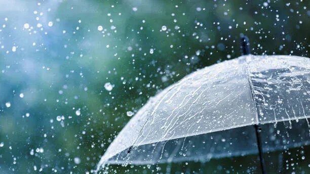 От чего зависит длительность дождей, и почему летом они короче? — Яндекс  Погода