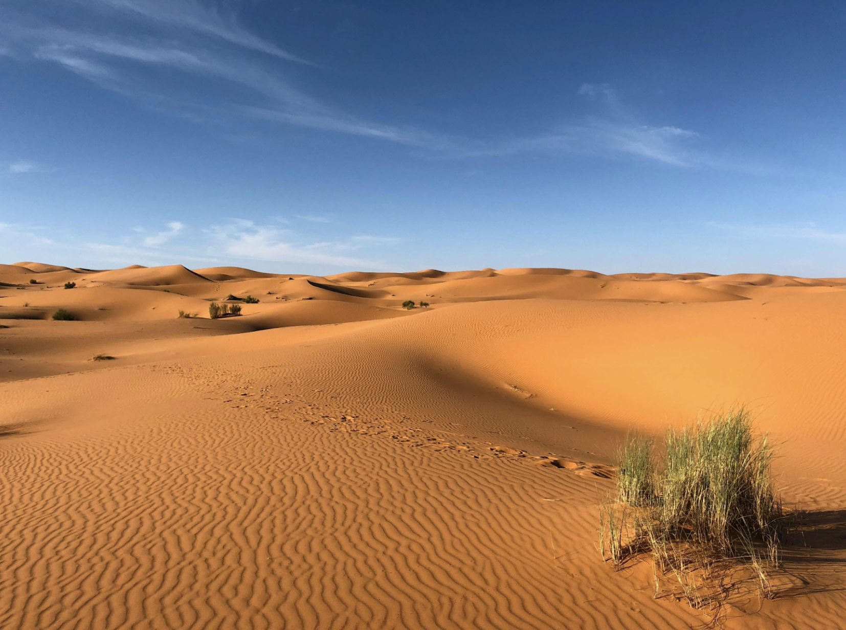 The Sahara Desert. Image by Greg Gulik