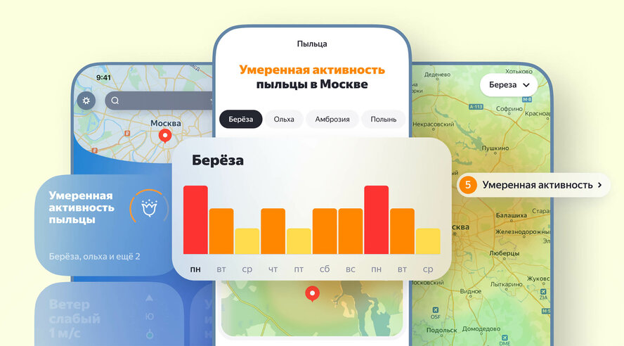 Яндекс Погода запустила сервис для аллергиков — он поможет подготовиться к сезону цветения