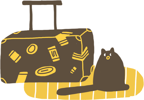 чемодан и кот