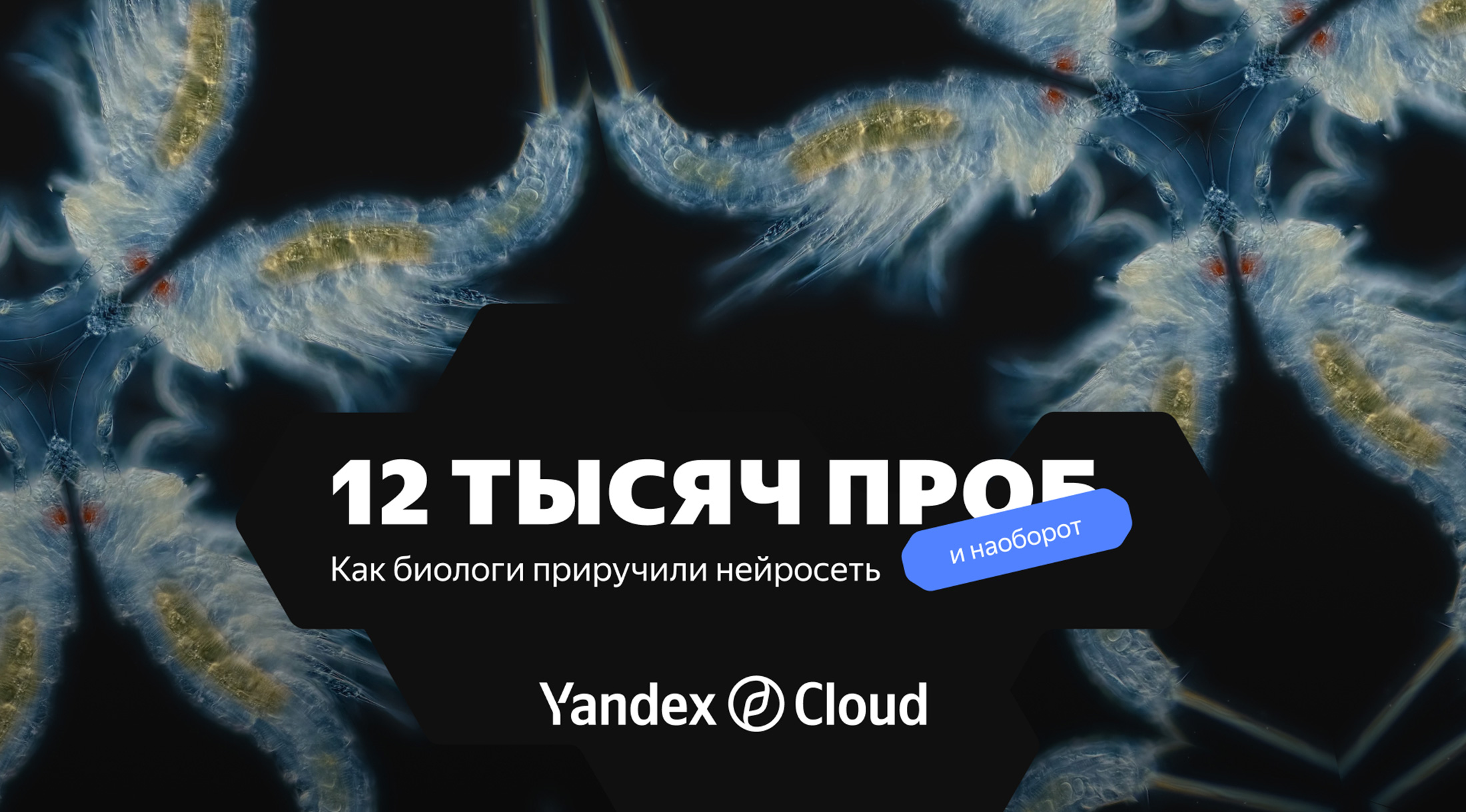 Yandex Cloud выложила нейросеть для мониторинга экосистемы Байкала в опенсорс