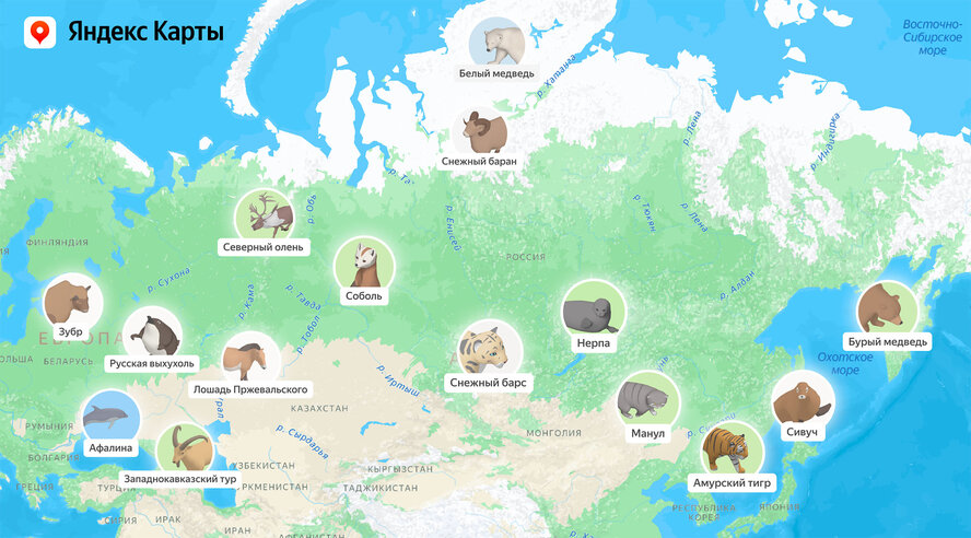 Яндекс добавил на карту 3D-модели редких животных России