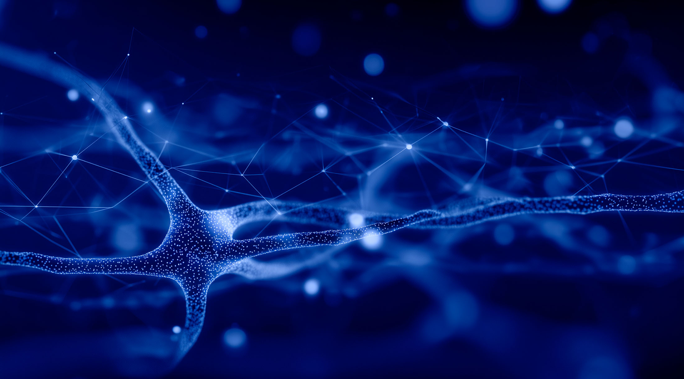 Исследователи МГУ и Яндекса создали первый открытый датасет и метод обучения нейросетей сложным правилам русского языка