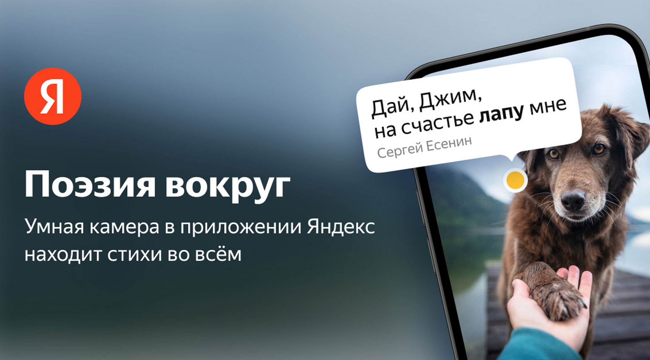 Умная камера Яндекса стала цитировать стихи