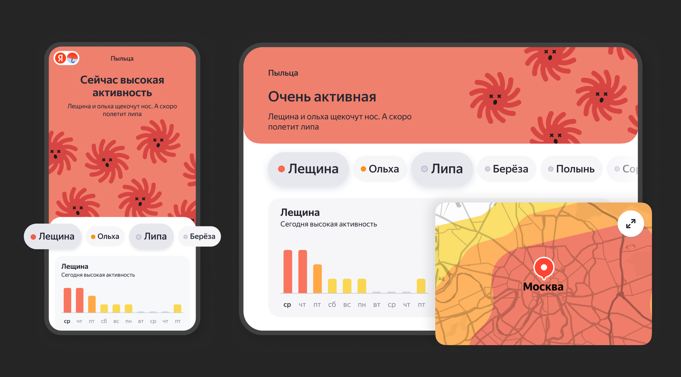 Аллергики по всей России смогут отслеживать в Яндекс Погоде цветение двух новых растений: лещины и липы, а также заносы пыльцы из других регионов