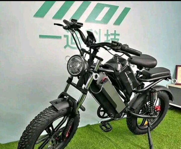 Vélo électrique tout-terrain puissant