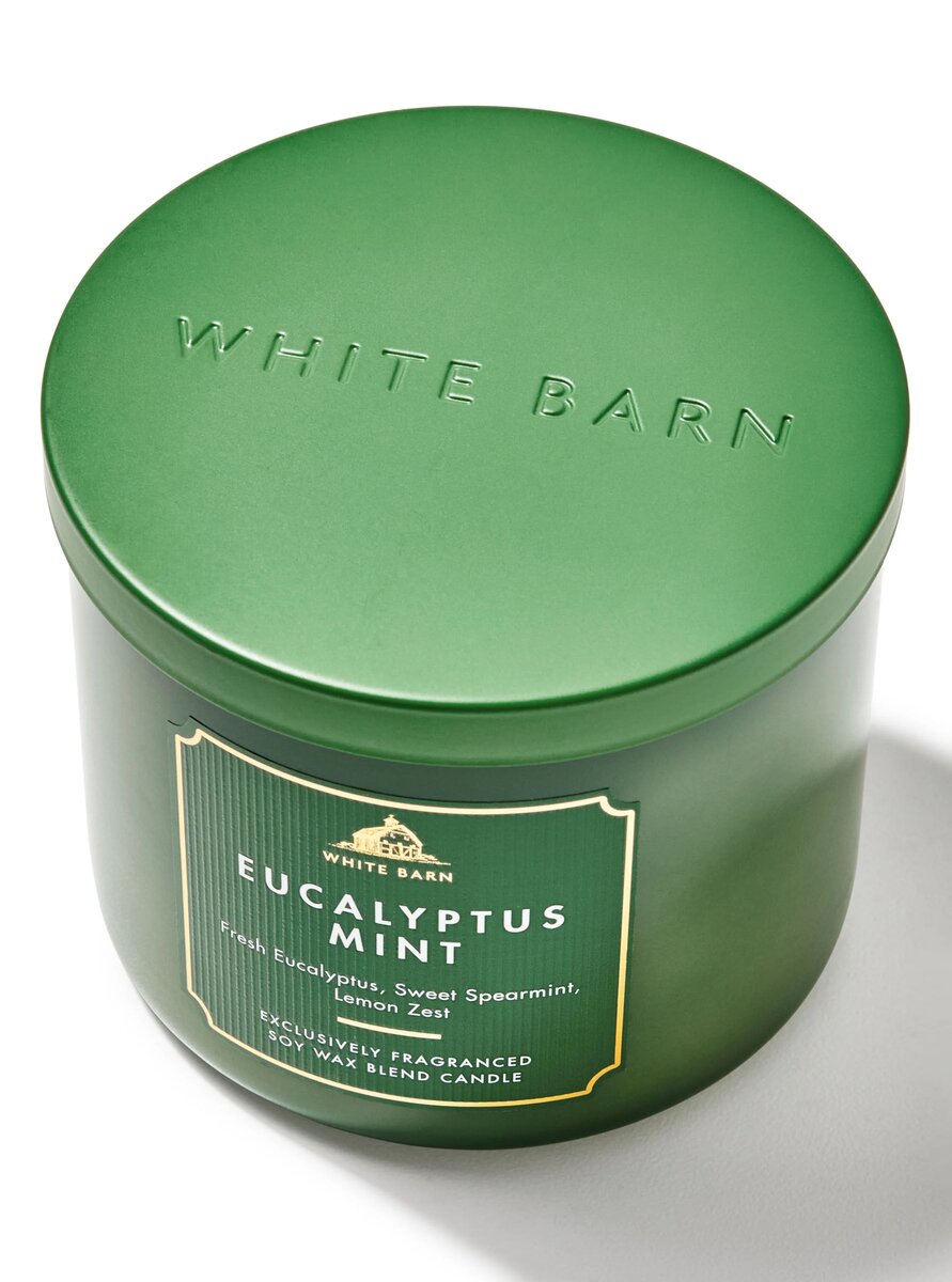 Bougie Parfumée Eucalyptus Menthe