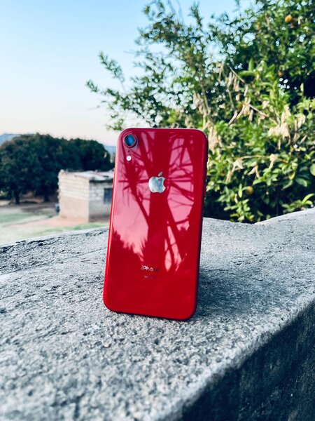 iPhone XR rouge