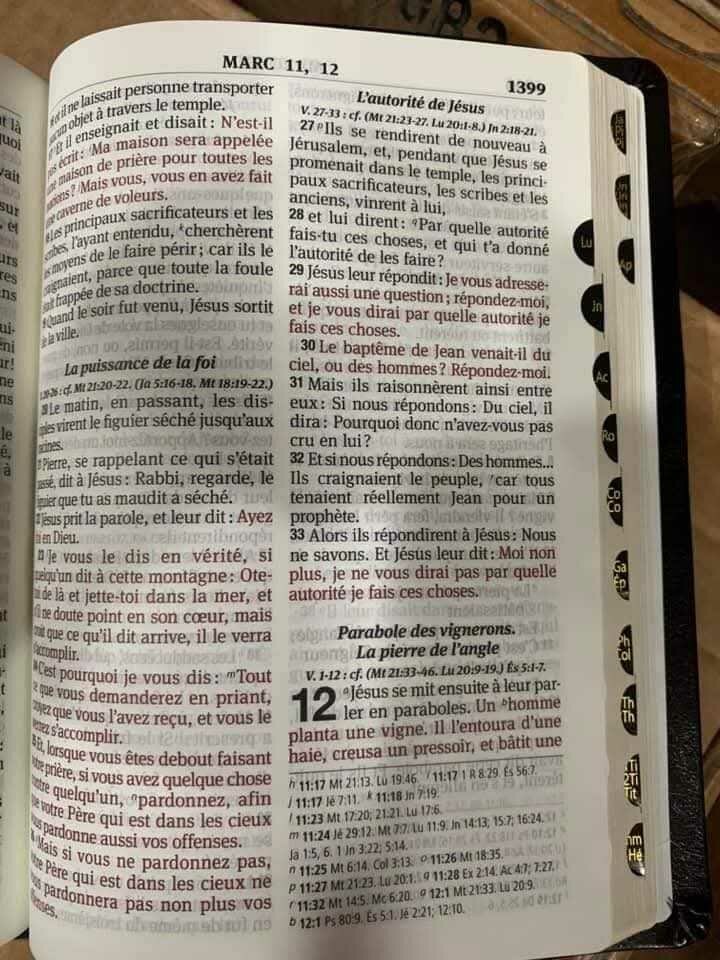 Bible La Sainte  Louis segond