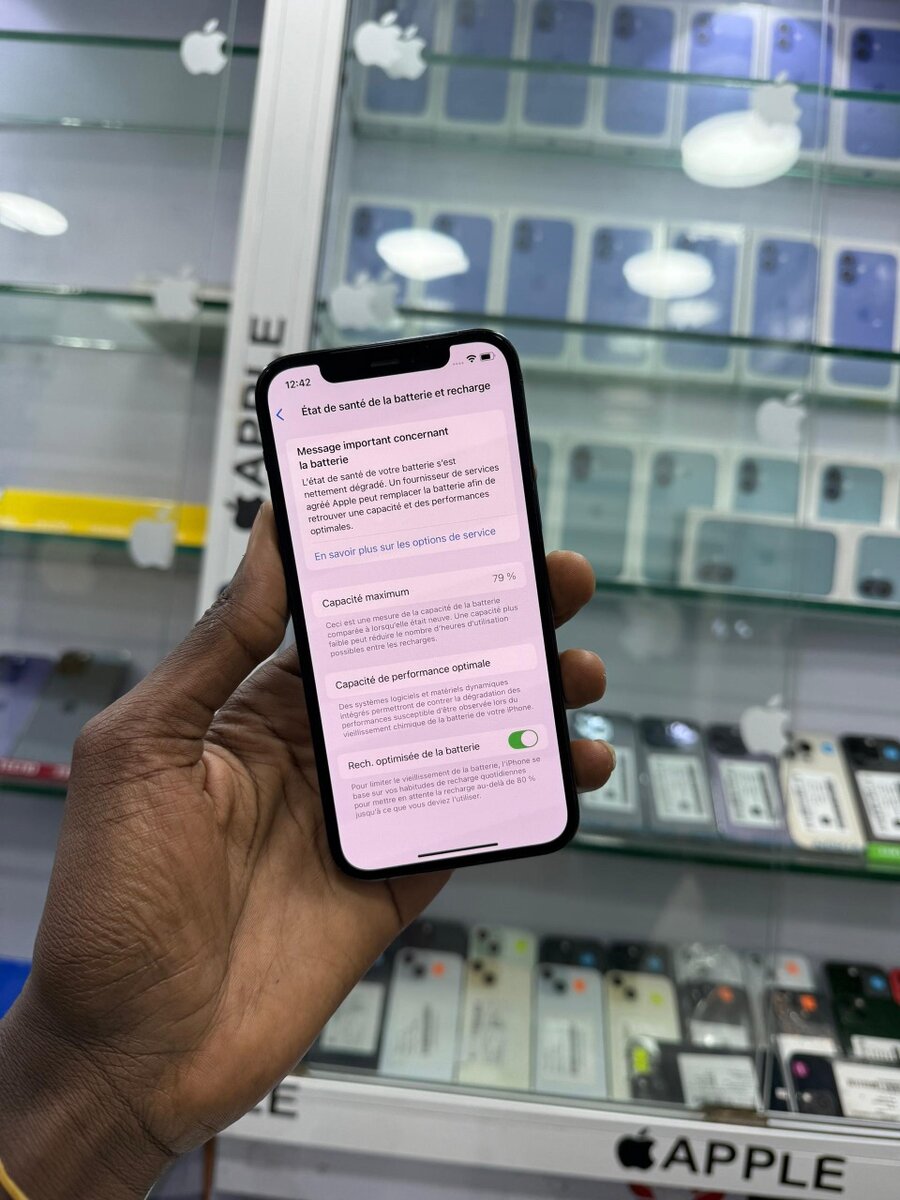 iPhone 12 Pro Bleu