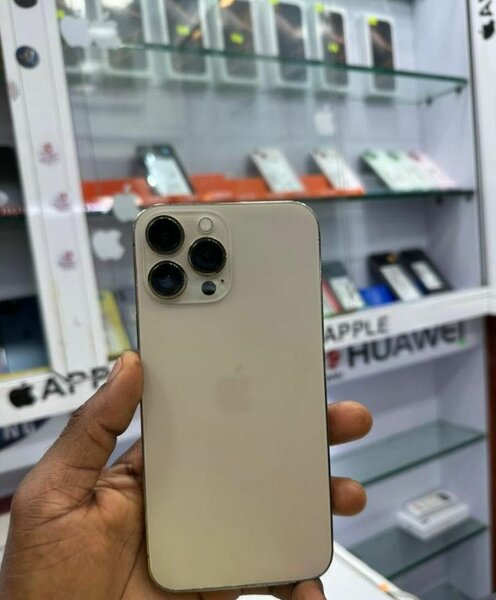 Apple iPhone 13 Pro Max