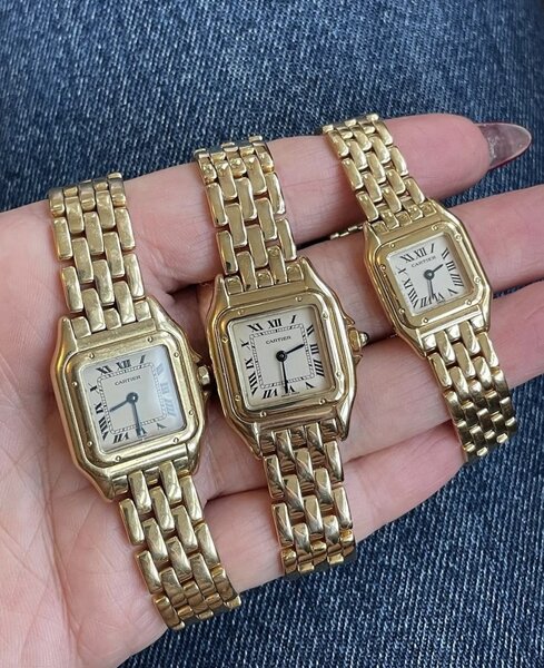Montre Dorée Premium