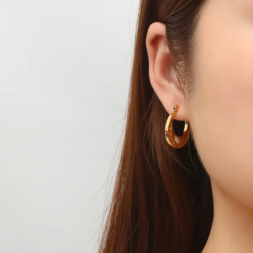 Stainless steel Earrings