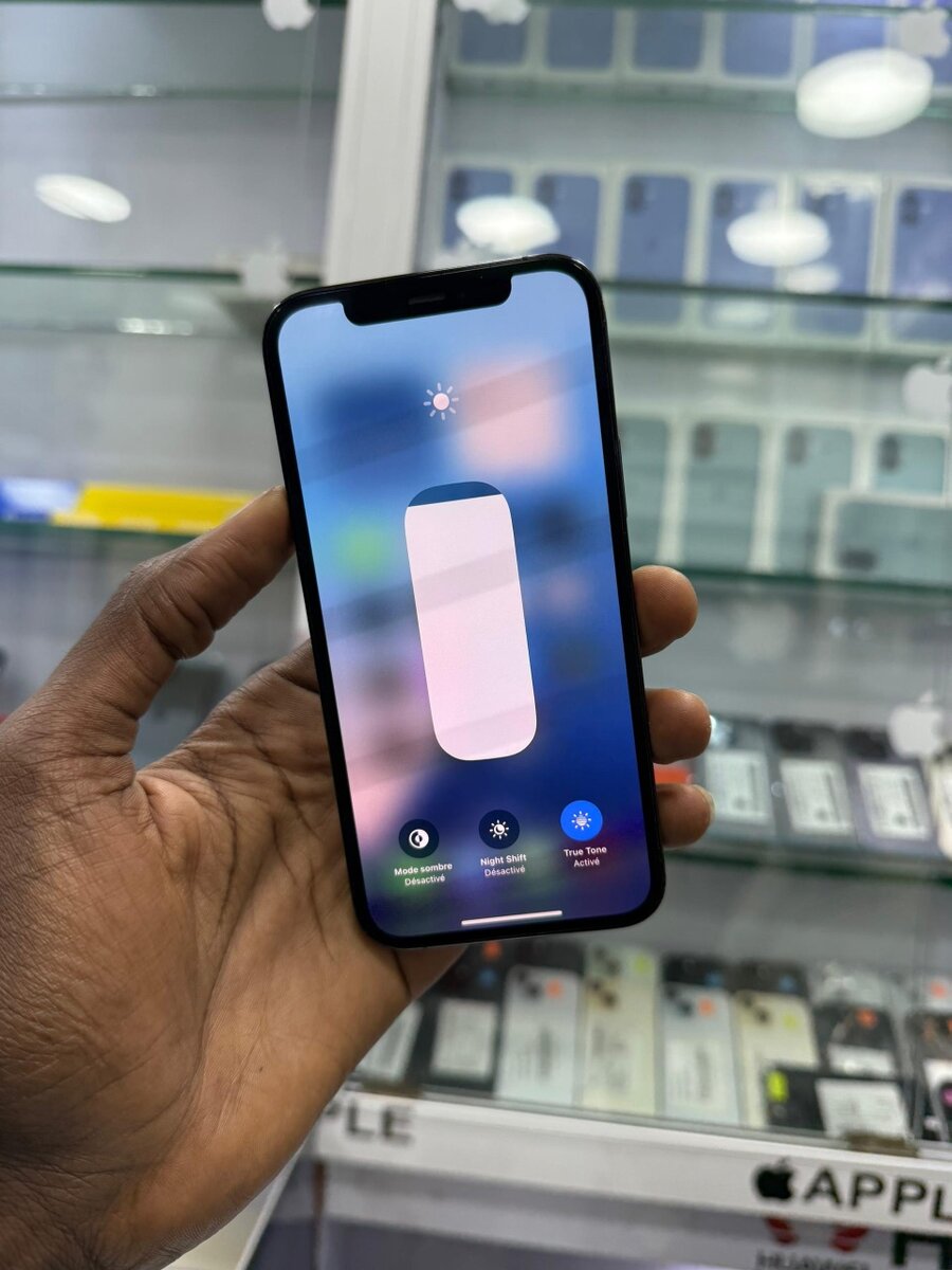 iPhone 12 Pro Bleu