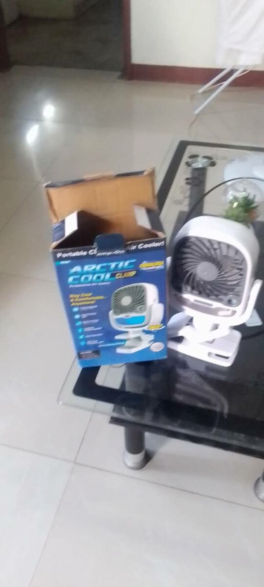 Mini Misty Fan