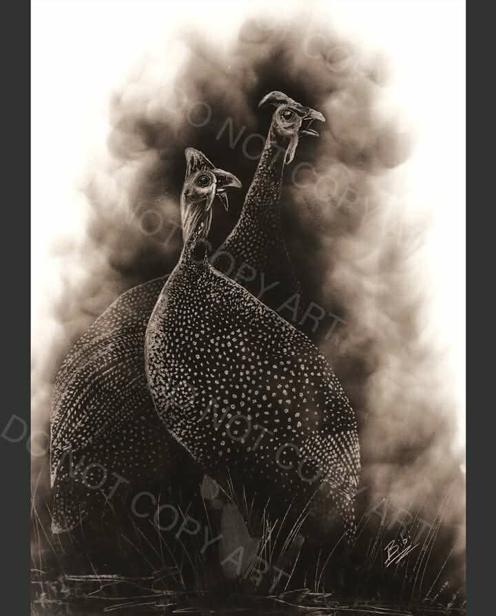 Guinea Fowl