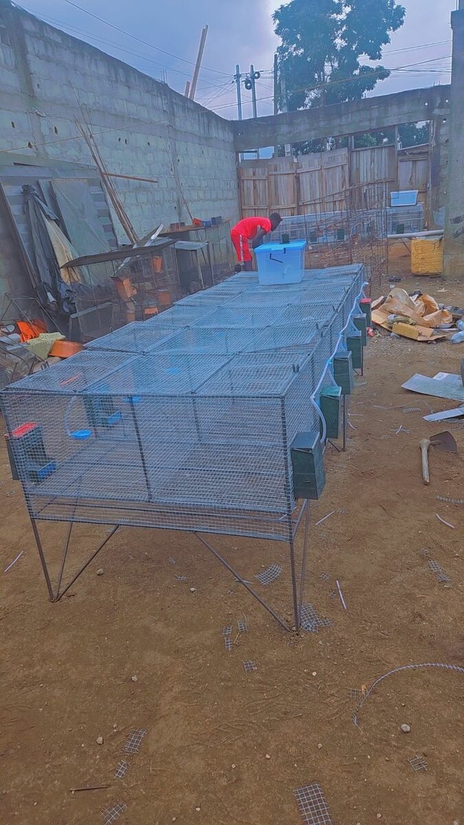 Cages en acier pour élevage